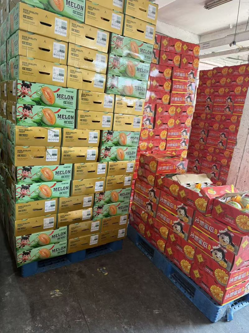 精品小蜜0损耗