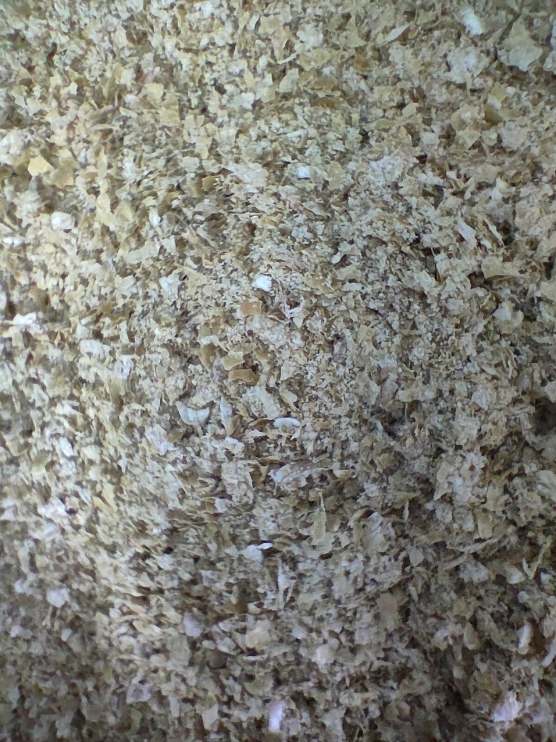 小麦麸皮，大量供货，