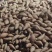 多种地瓜品种，西瓜红，白哈密，济薯26，烟薯25，龙薯9