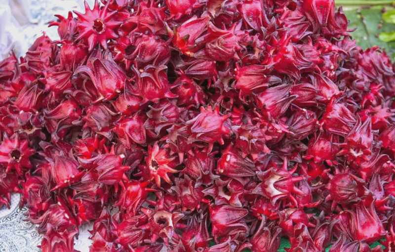 桂林红桃k，洛神花