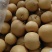 净树小果秋月梨4000斤
