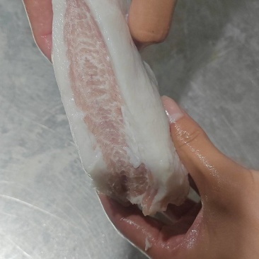 肥猪槽头分割:三七肉青新货新开厂家直销还有2吨
