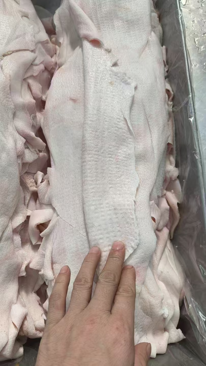 肥猪槽头分割:可食用槽头皮现货17吨
