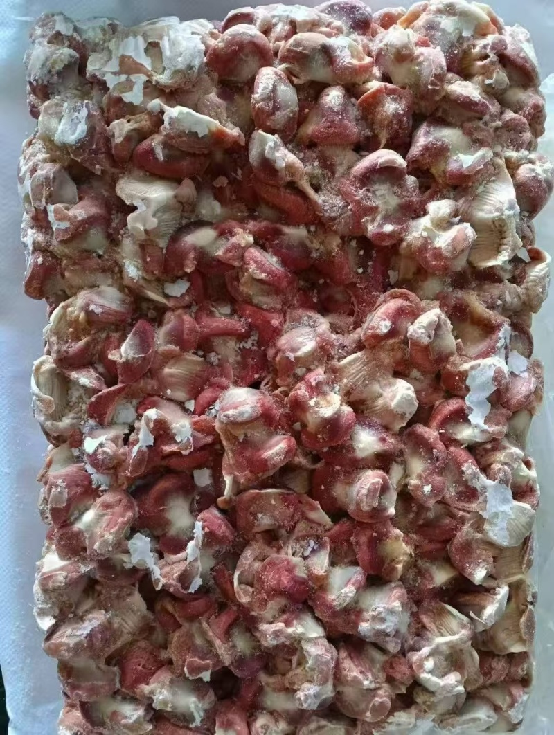 老母鸡净胗鸡胗肉鸡三黄鸡胗
