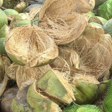 椰壳，椰壳片
