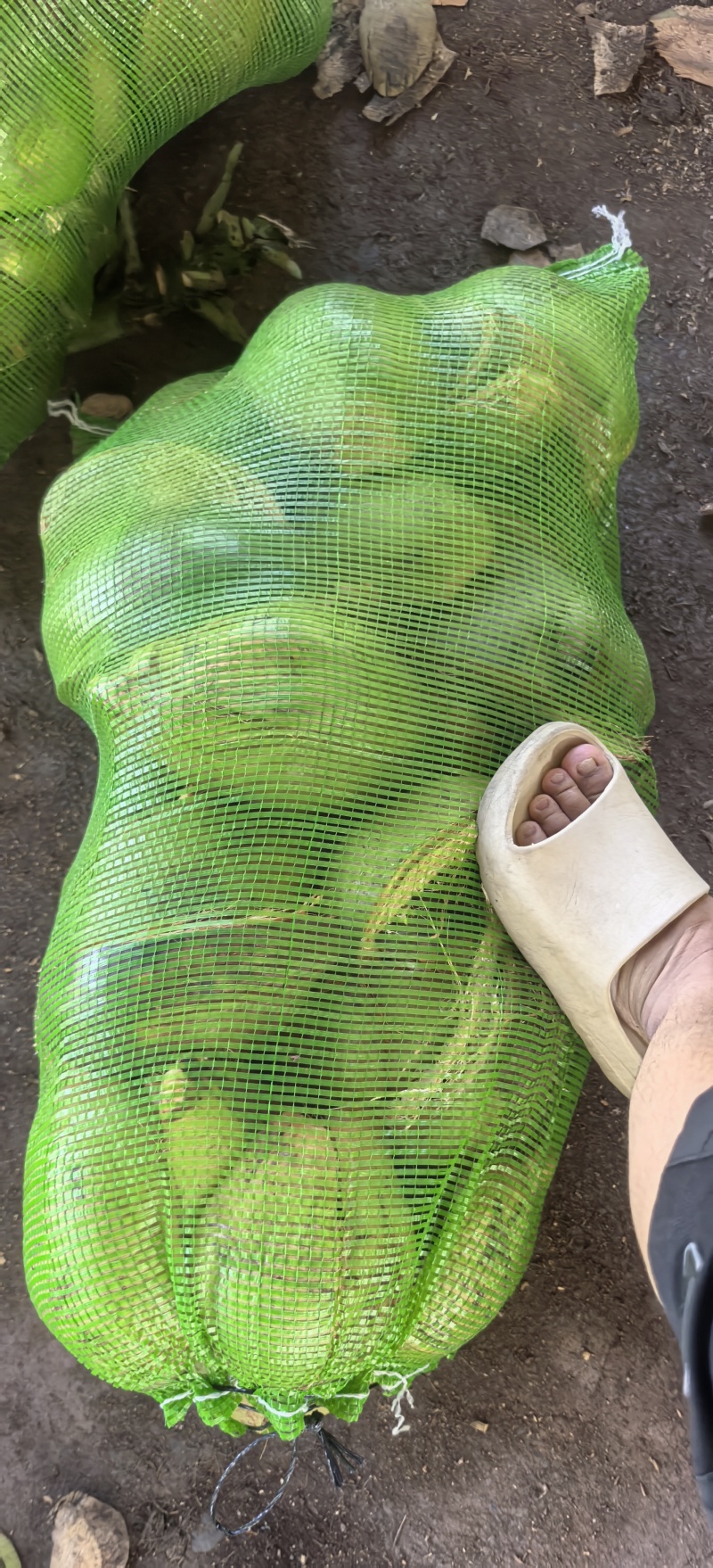 椰壳，椰壳片