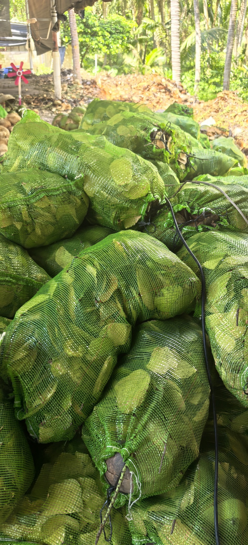 椰壳，椰壳片