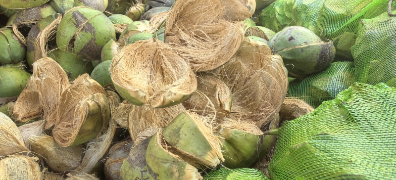 椰壳，椰壳片