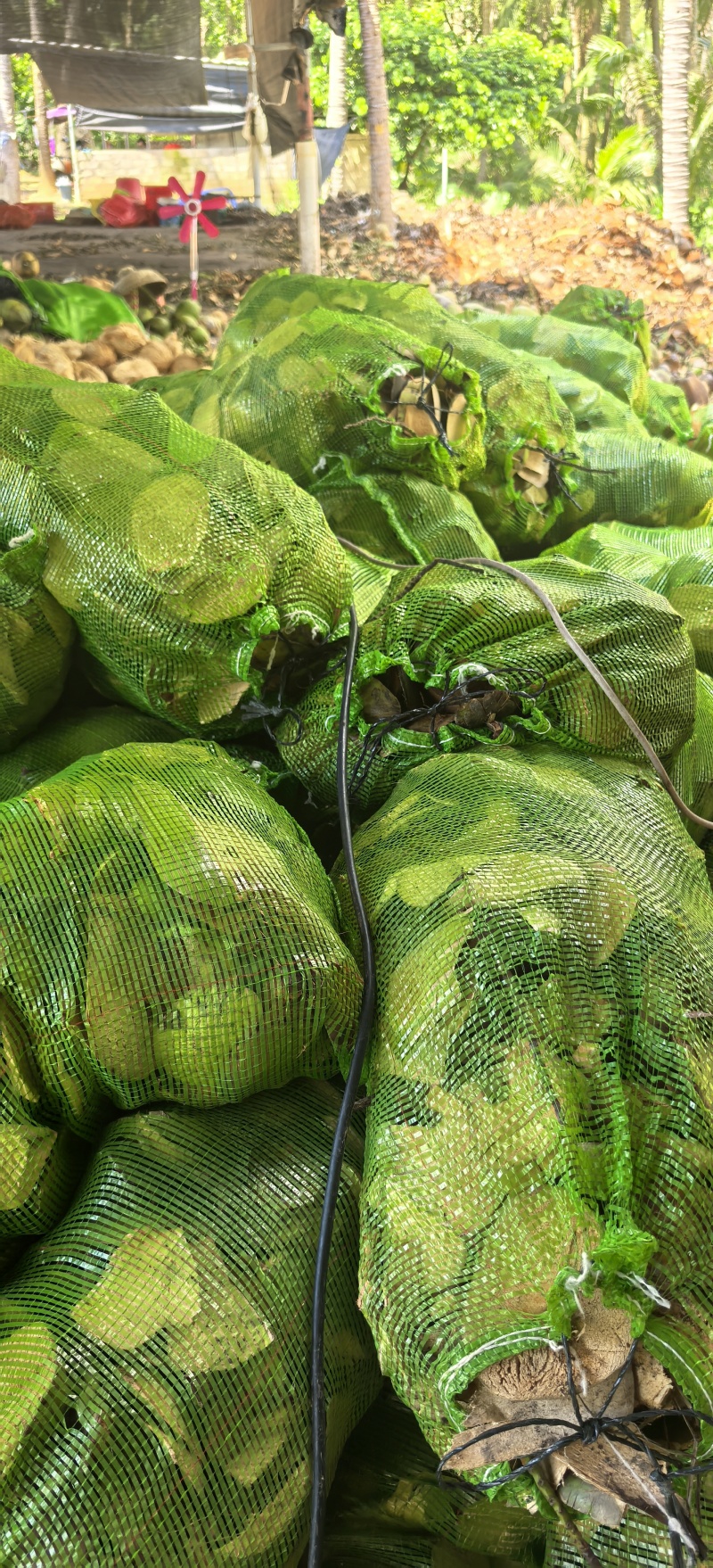 椰壳，椰壳片