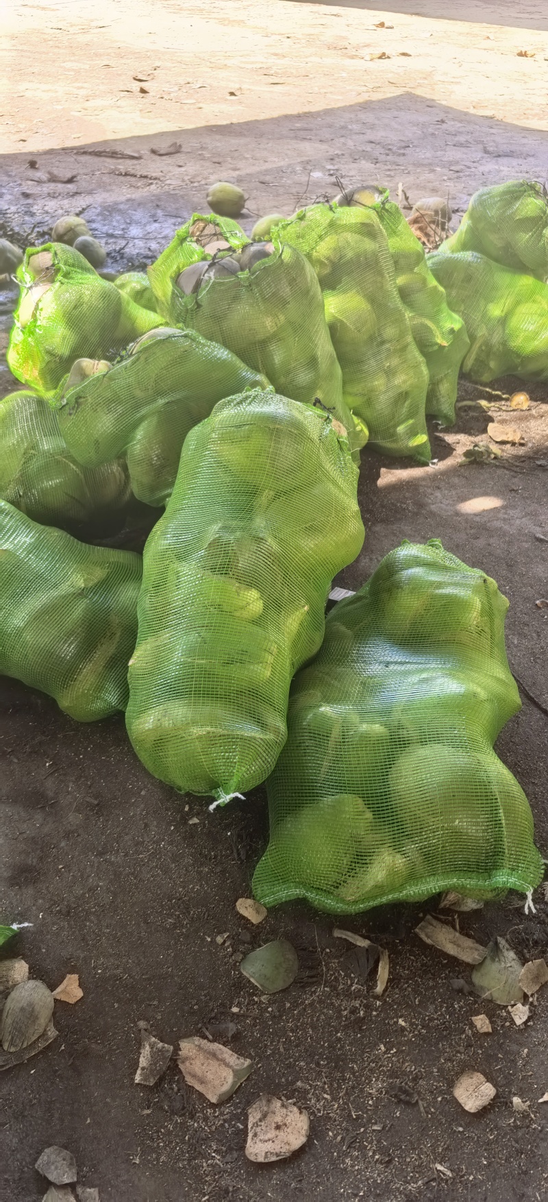 椰壳，椰壳片