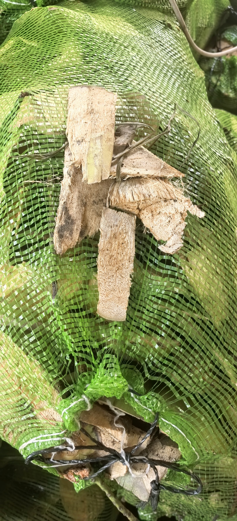 椰壳，椰壳片
