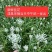 大量韭菜花，需要的老板联系价低便宜！
