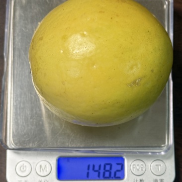钦蜜9号黄金百香果，广东本地货源，百香果，蓝莓种植基地.