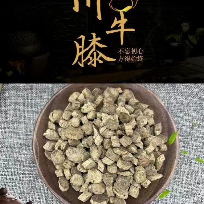 川牛膝中药材正宗野生川牛膝批发零售冷背中药材大全