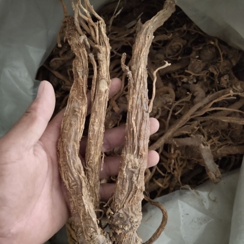 独活中药材正宗野生独活冷背中药材大全批发零售