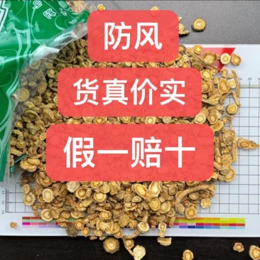 防风内蒙防风关防风大量供应一手货源保质保量质量好价格实惠