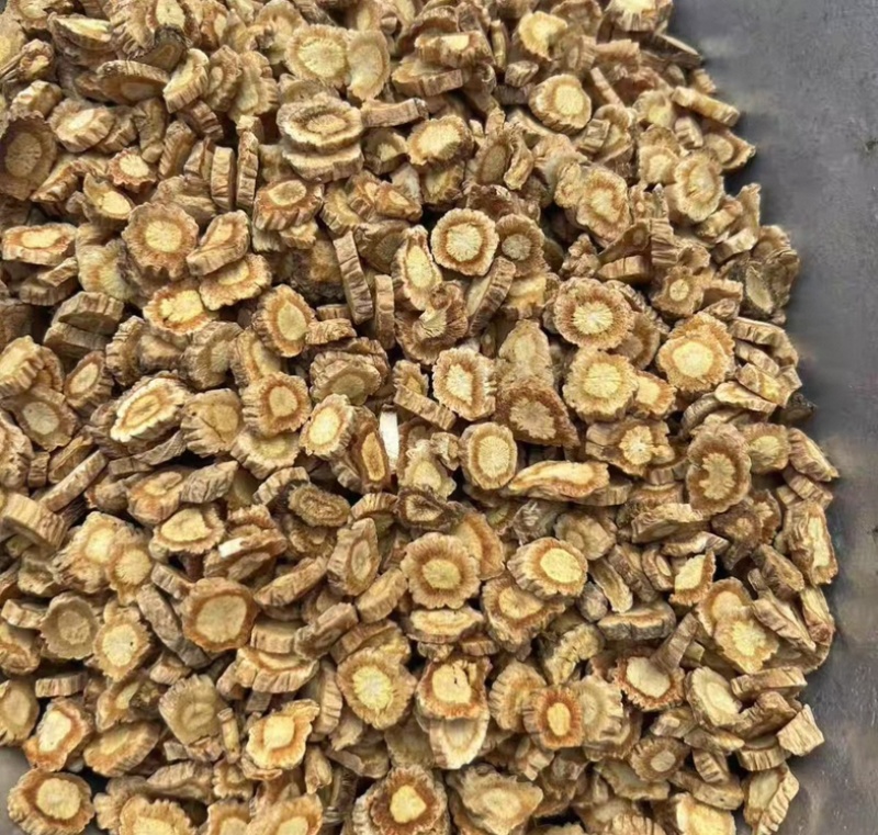 防风内蒙防风关防风大量供应一手货源保质保量质量好价格实惠