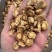 防风内蒙防风关防风大量供应一手货源保质保量质量好价格实惠