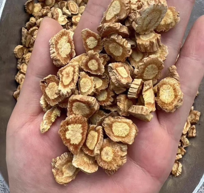 防风内蒙防风关防风大量供应一手货源保质保量质量好价格实惠