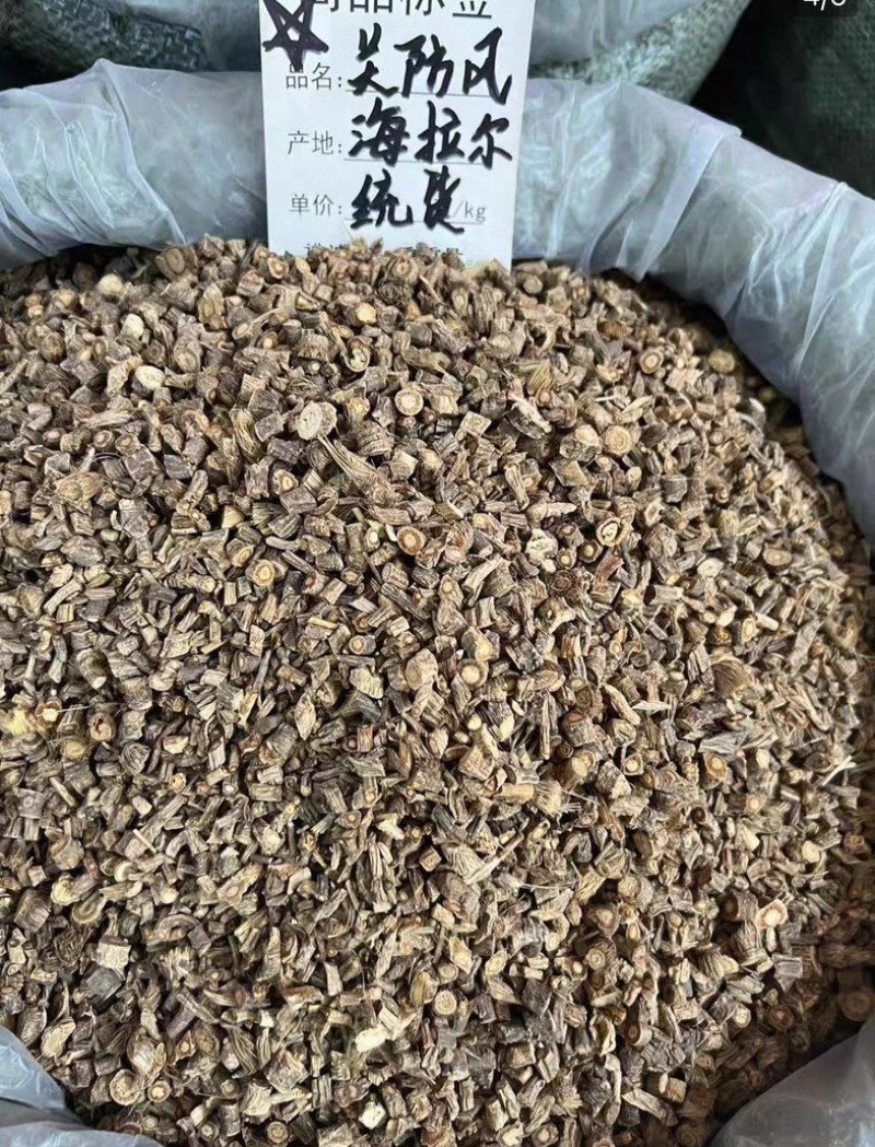 防风内蒙防风关防风大量供应一手货源保质保量质量好价格实惠