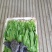 油麦菜
