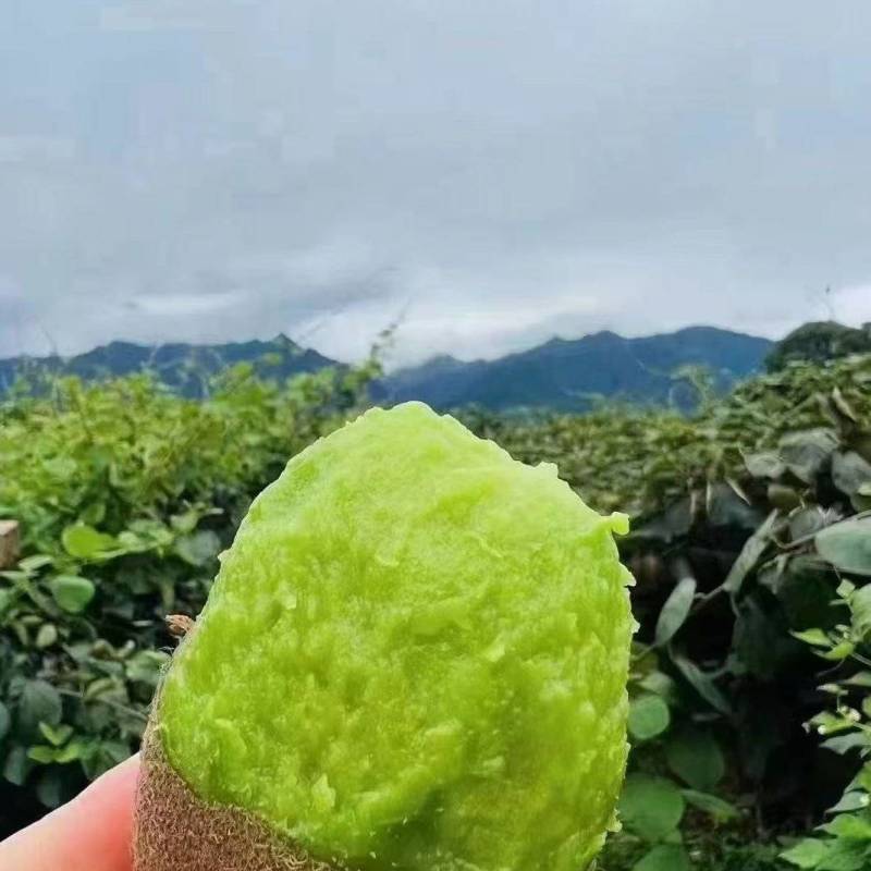 绿心徐香猕猴桃