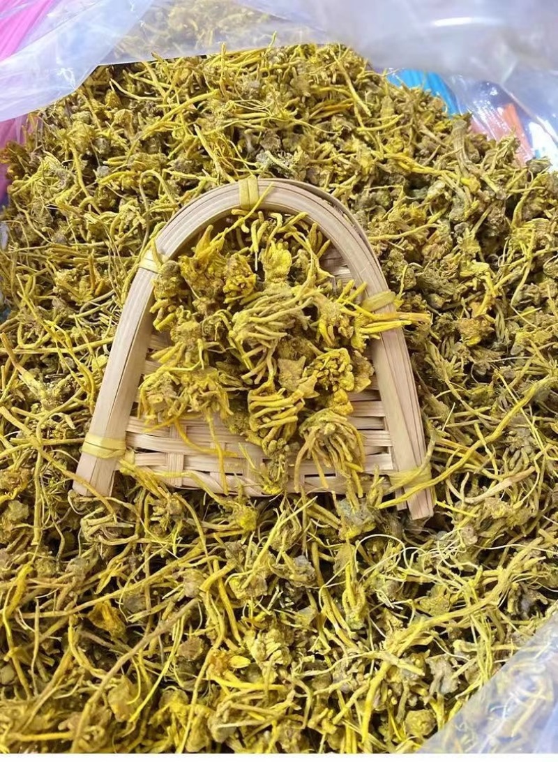 黄龙根金龙根雪灵茶黄龙草金龙石斛参龙须雪山黄龙茶批发代发