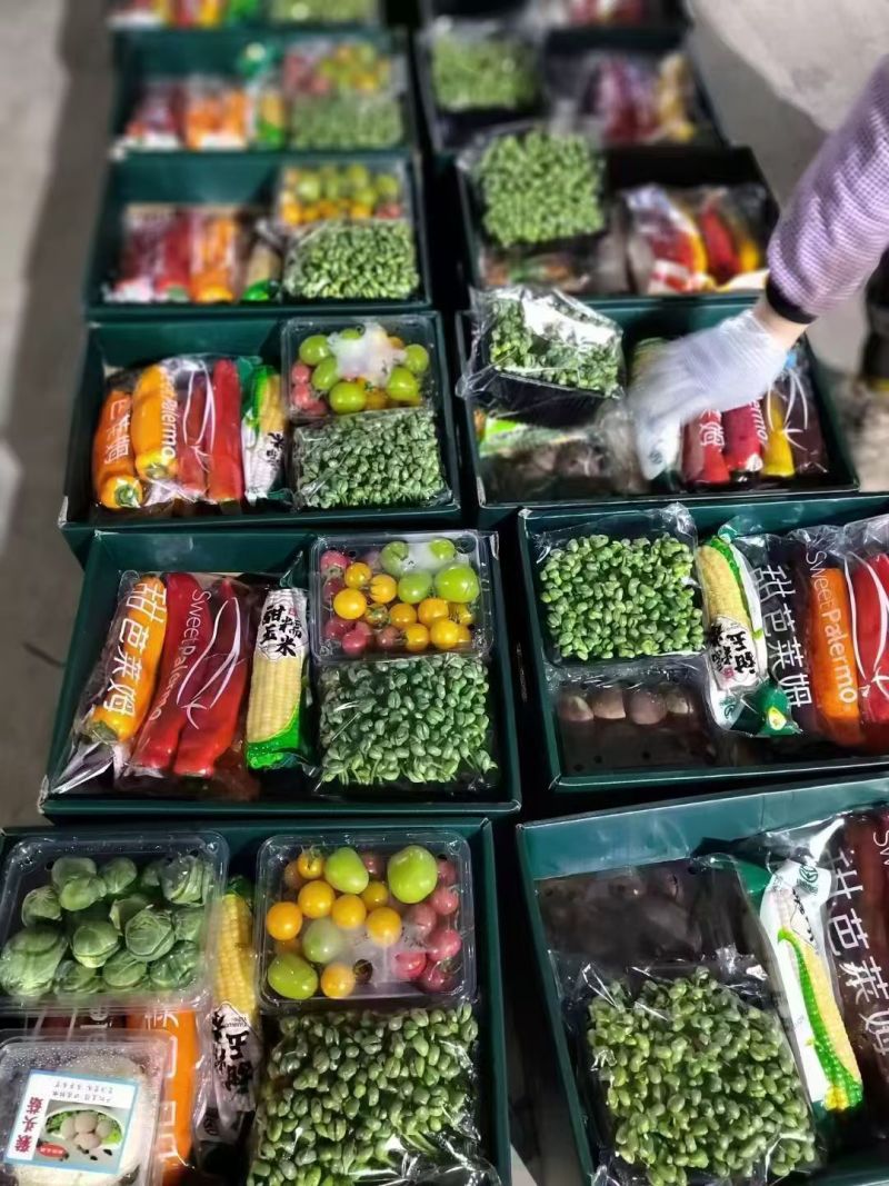 寿光蔬菜礼盒特菜礼盒套菜