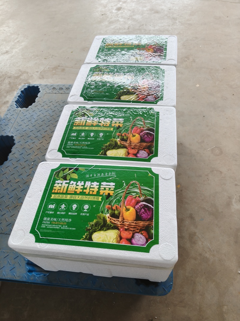 寿光蔬菜礼盒特菜礼盒套菜