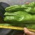 🔥【实力推荐】河南夏邑301辣椒/商超**