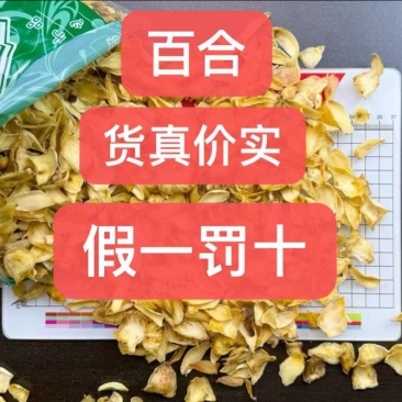 百合道地药材品质保证一手货源保质保量价格实惠大量供应齐全