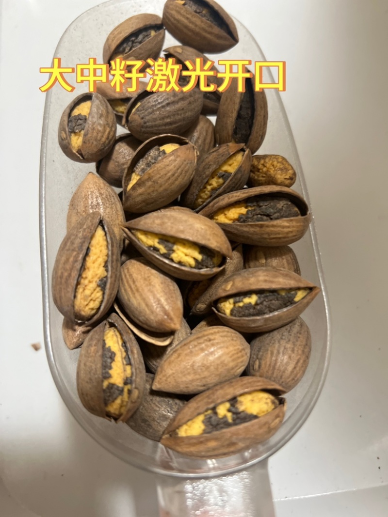 自产自销香榧
