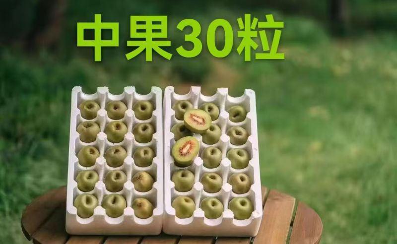 蒲江红心猕猴桃