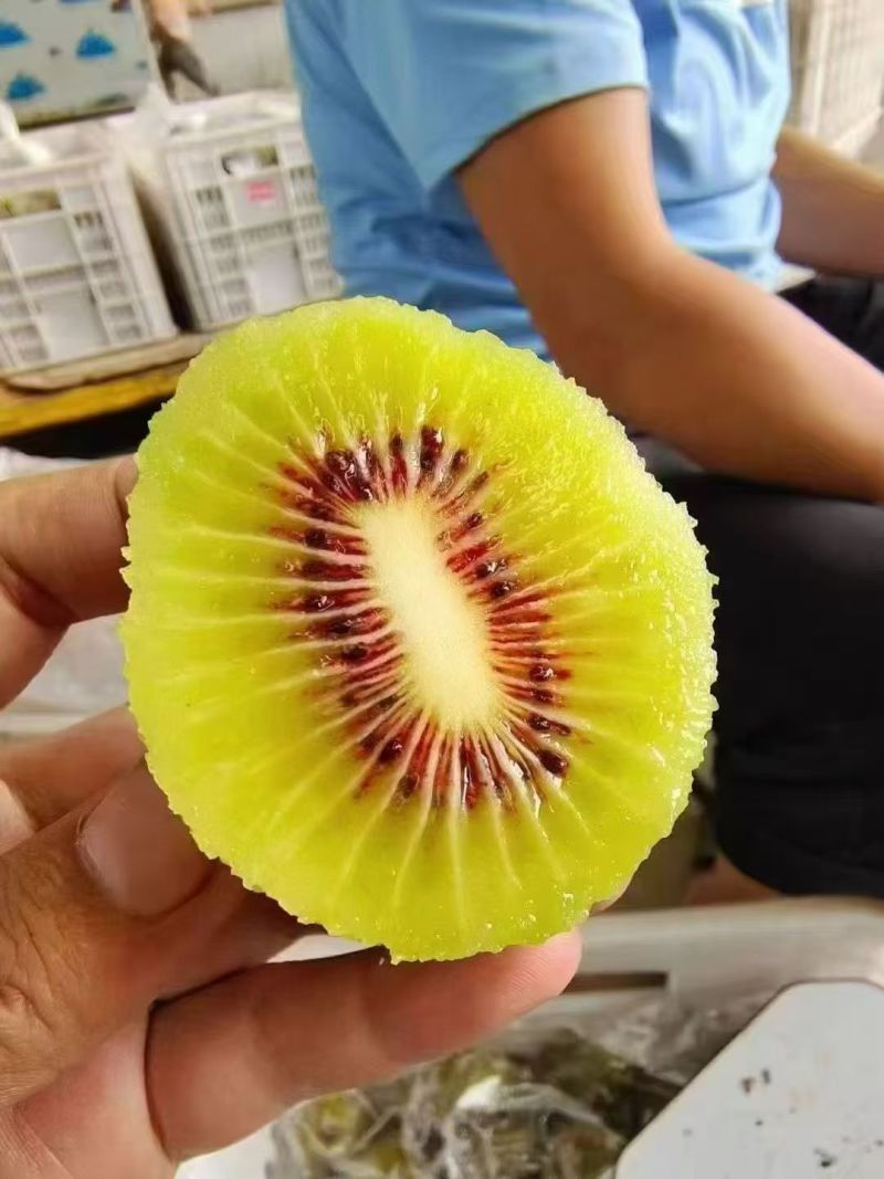 蒲江红心猕猴桃