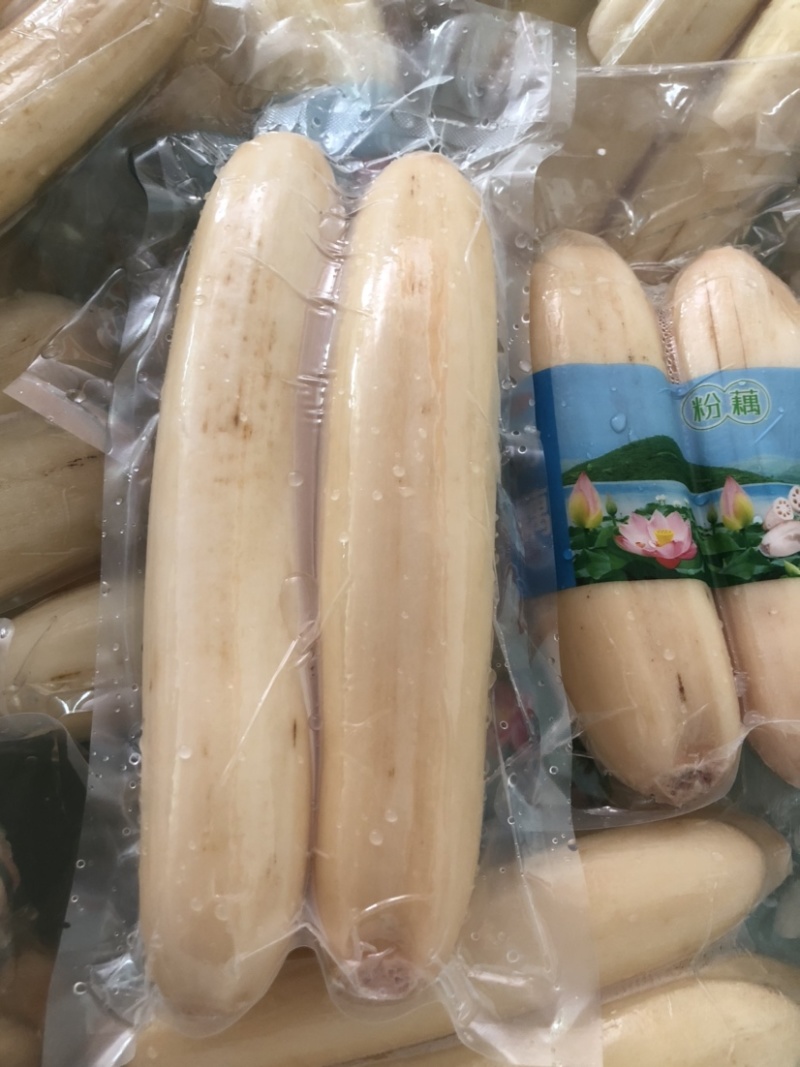 粉藕，洪湖莲藕，湖北粉藕，产地直销，按需做货