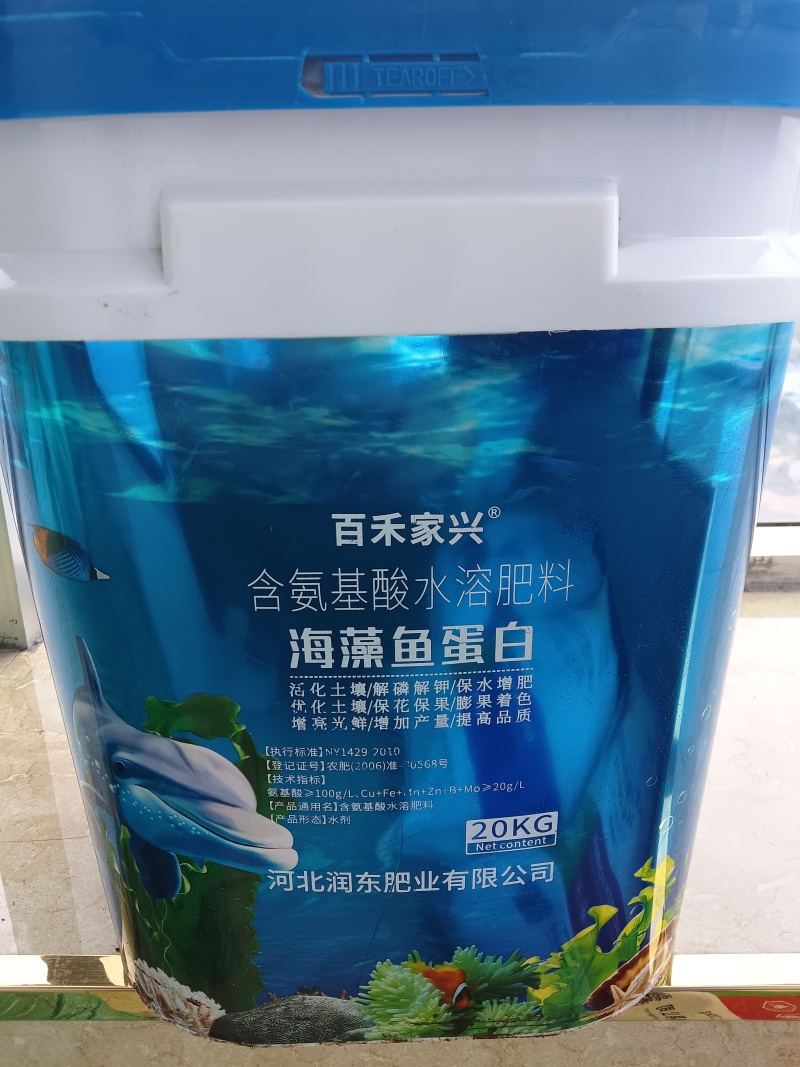 海藻鱼蛋白