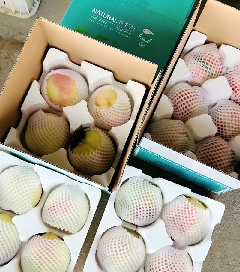 肥城肥桃一箱6个顺丰包邮一箱即为一件
