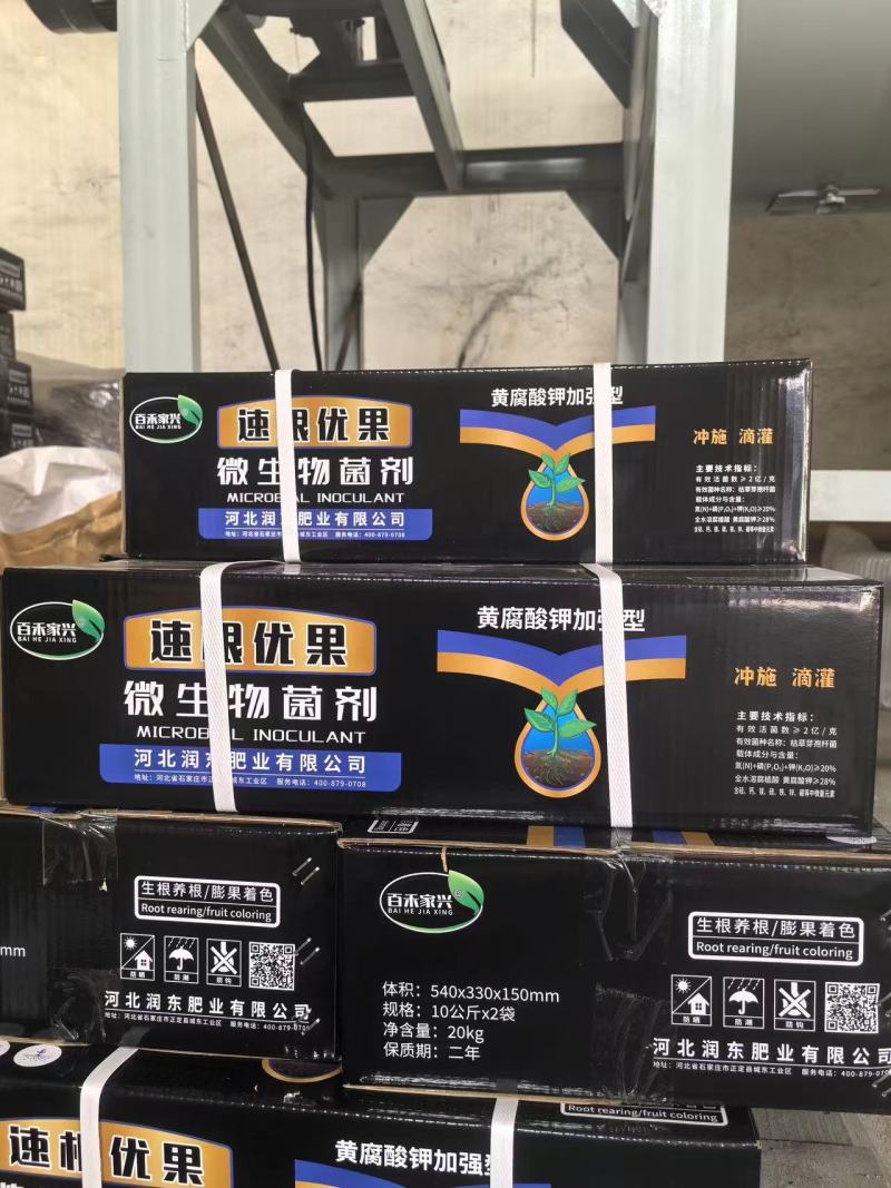 速根优果