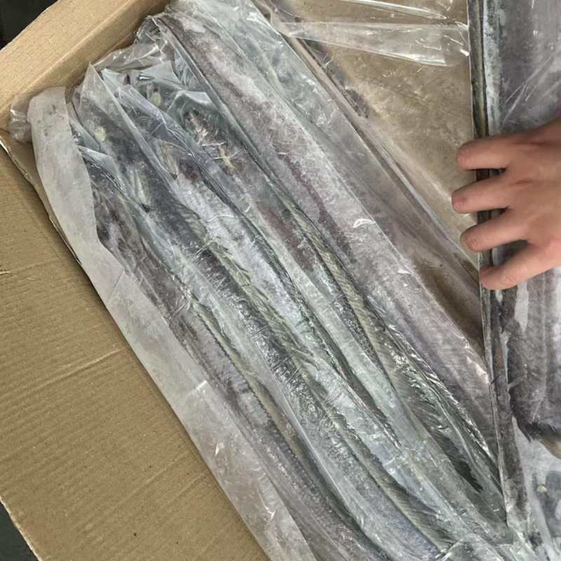 带鱼500/700条冻带鱼网带鱼B带当天