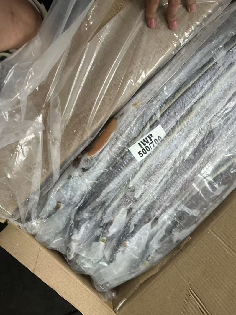 带鱼500/700条冻带鱼网带鱼B带当天