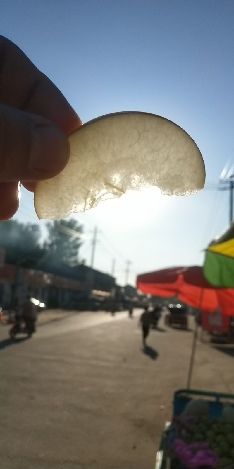 秋月梨