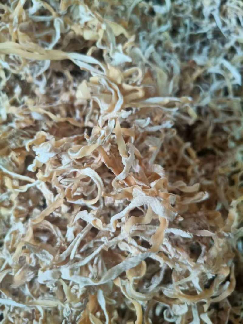 白木耳丝，雪耳丝，玉木耳丝