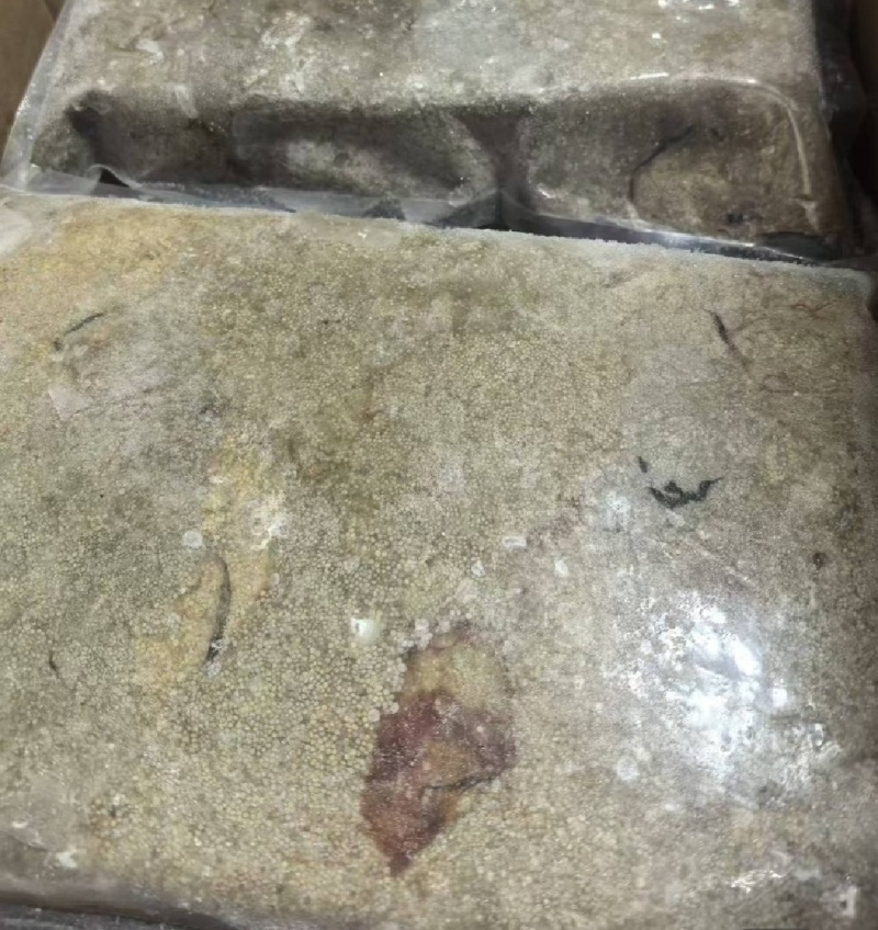 新鲜花鲢鱼籽