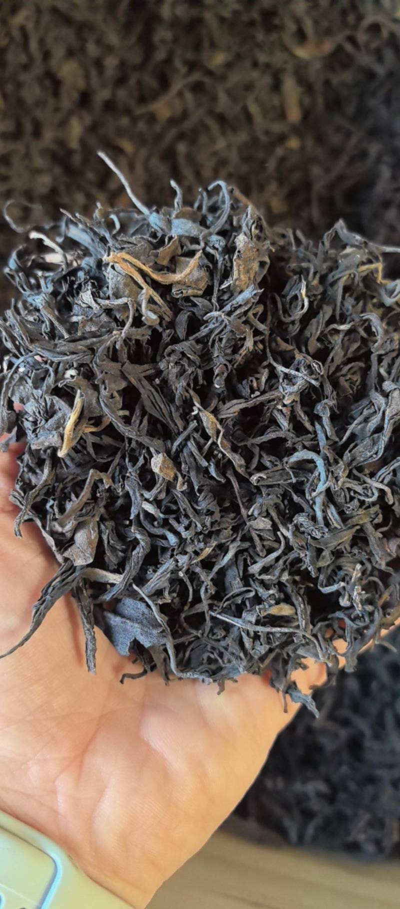 农家茶，野生茶
