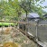 福建山樱花大陆阿里山樱花树袋苗地苗室内外花卉绿植