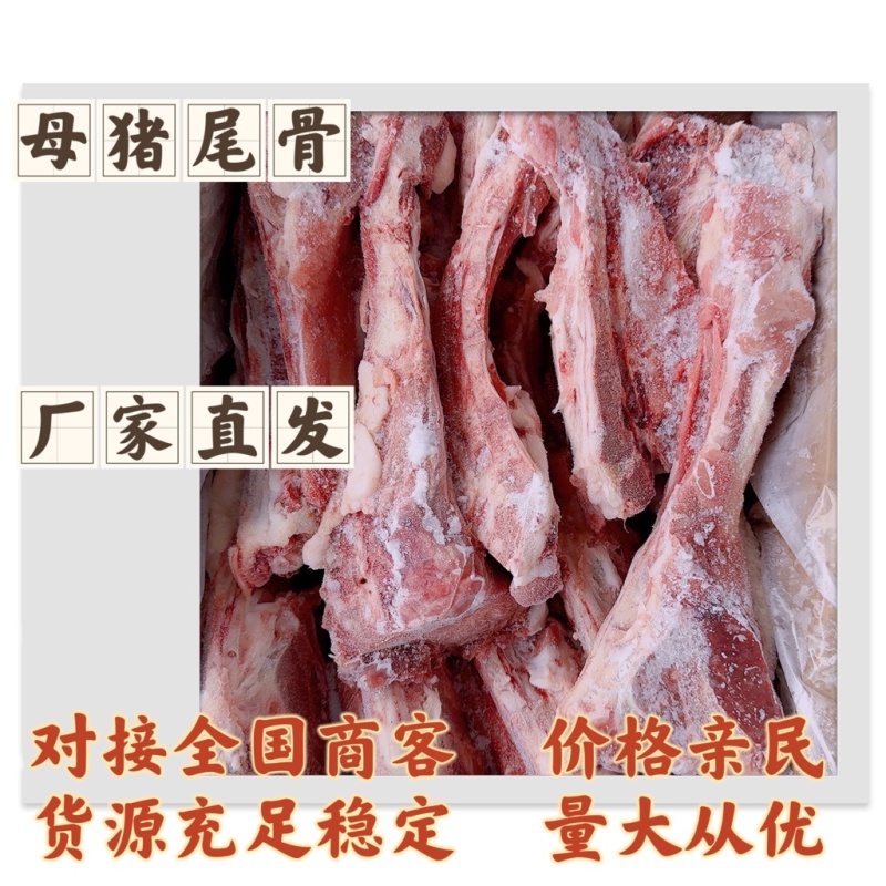 尾骨母猪尾骨质量如图诚信经营