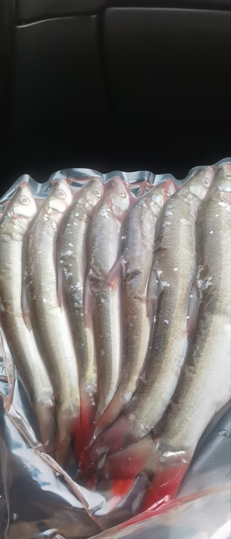 大量野生镜泊湖红鱼，鲜鱼，鱼干