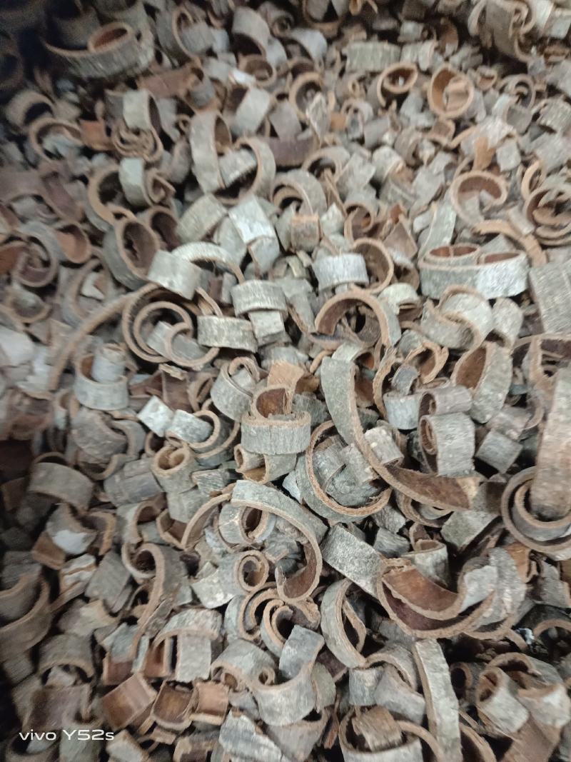 厚朴