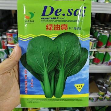 绿油亮青梗菜种子抗病耐热青菜种子高温不拔节油绿青梗菜种籽