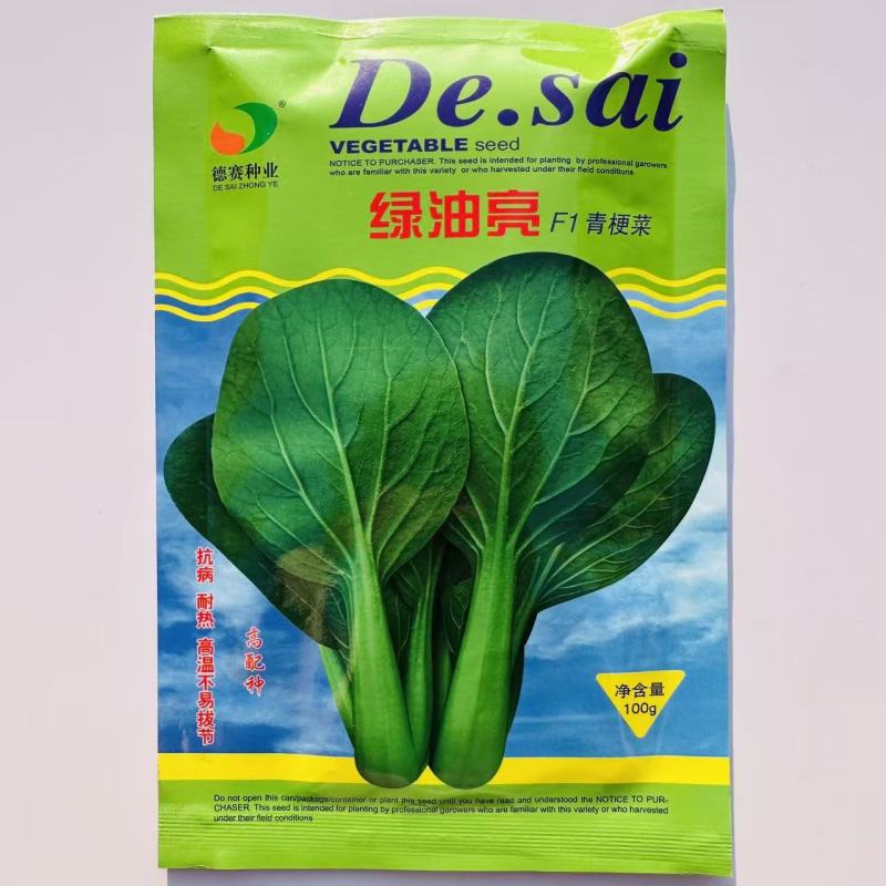 绿油亮青梗菜种子抗病耐热青菜种子高温不拔节油绿青梗菜种籽